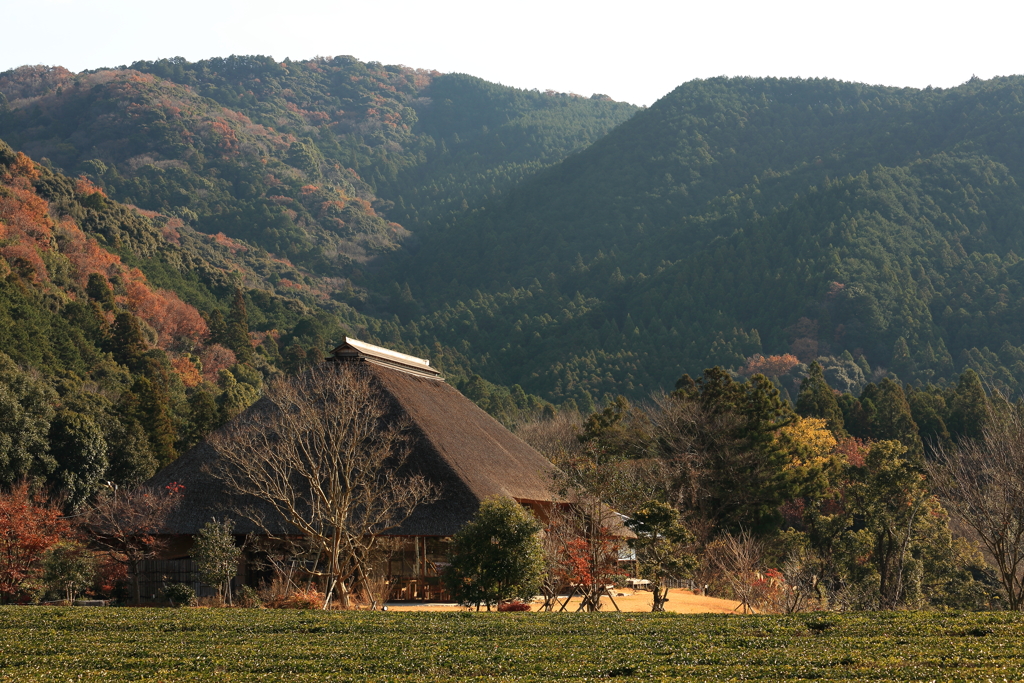 山里の茅葺