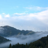 朝霧の風車