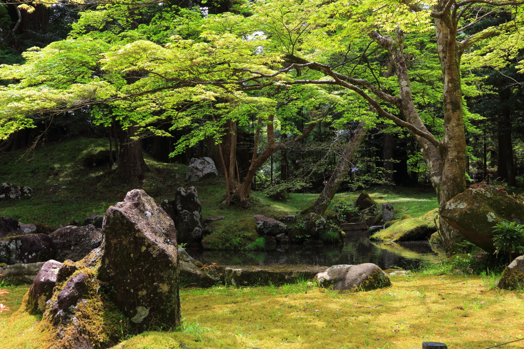 北畠神社5