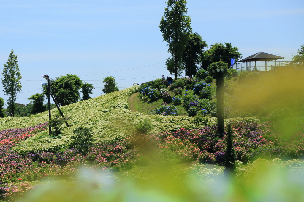 かざはやの里13