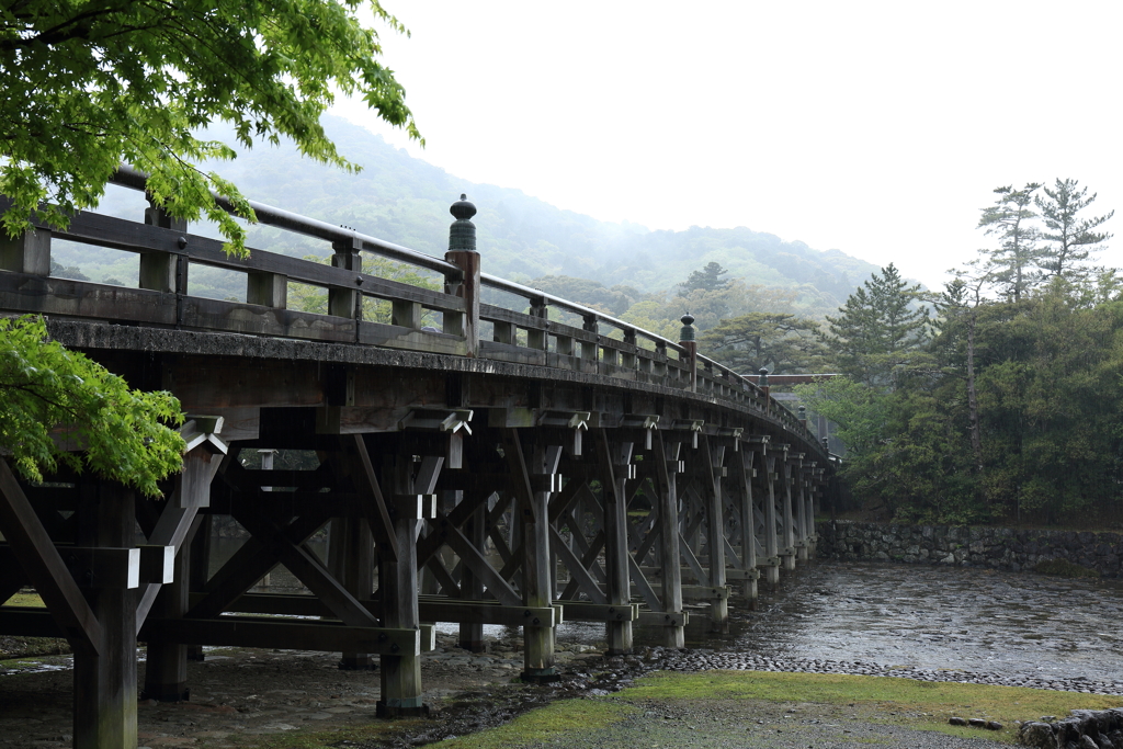 散歩の途中で　雨2