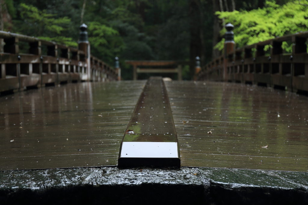 散歩の途中で　雨4