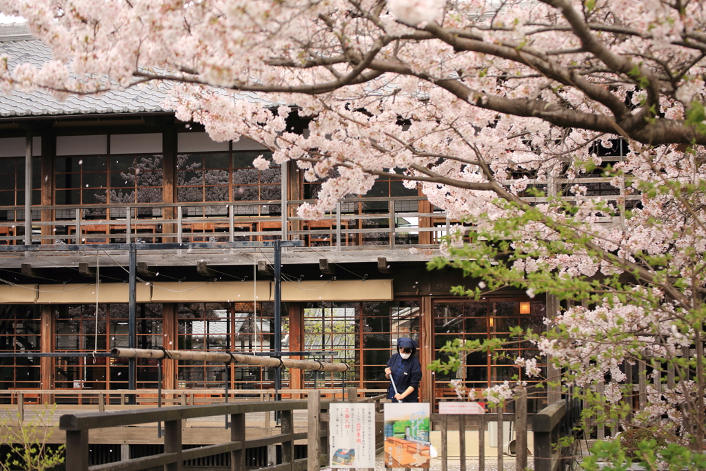 朝の五十鈴茶屋