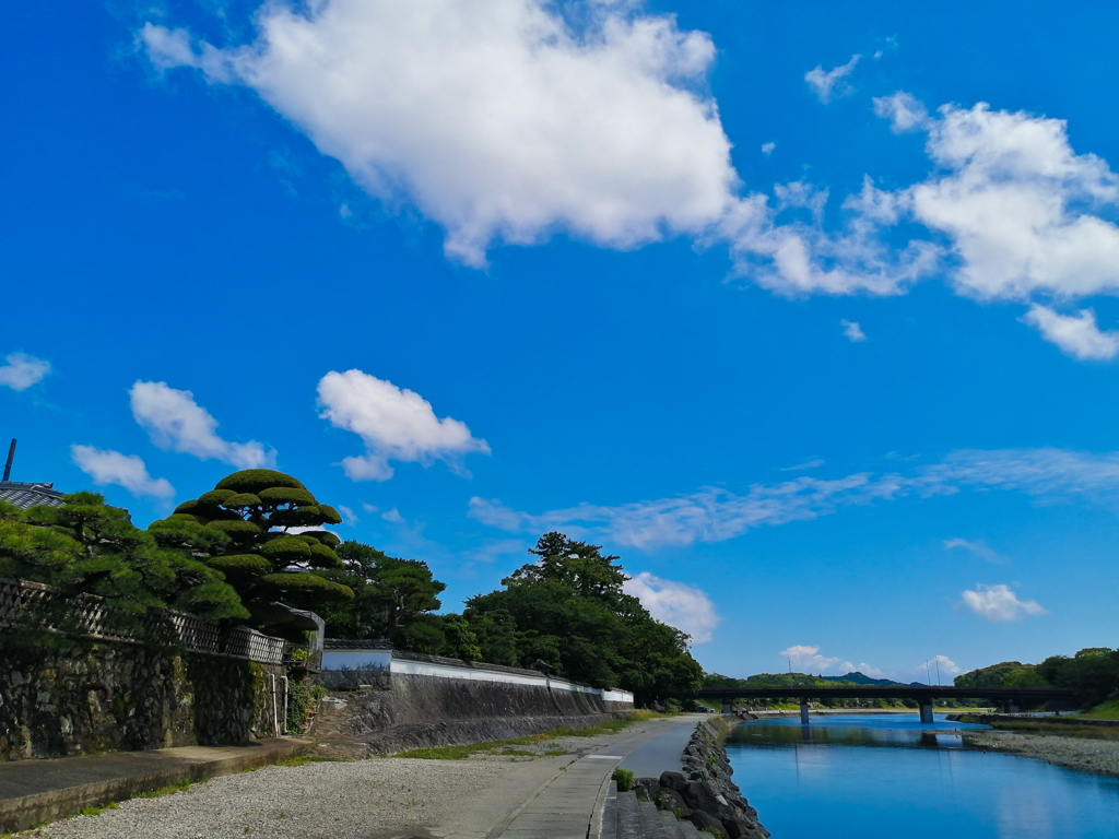 初夏の五十鈴川2
