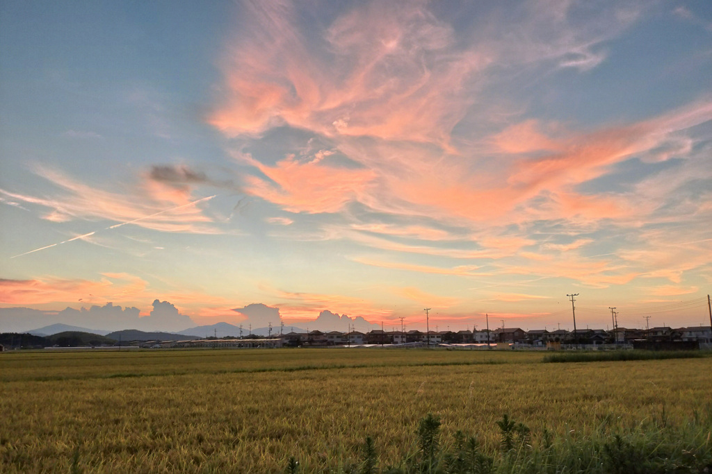 本日の夕景