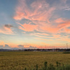 本日の夕景