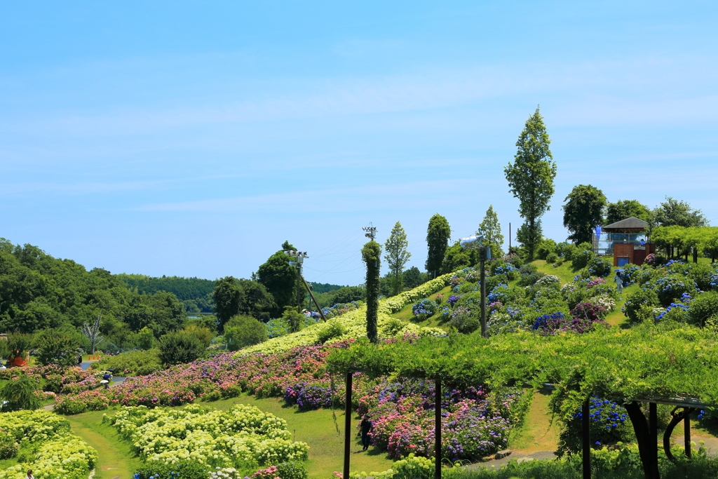 かざはやの里12