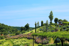 かざはやの里12