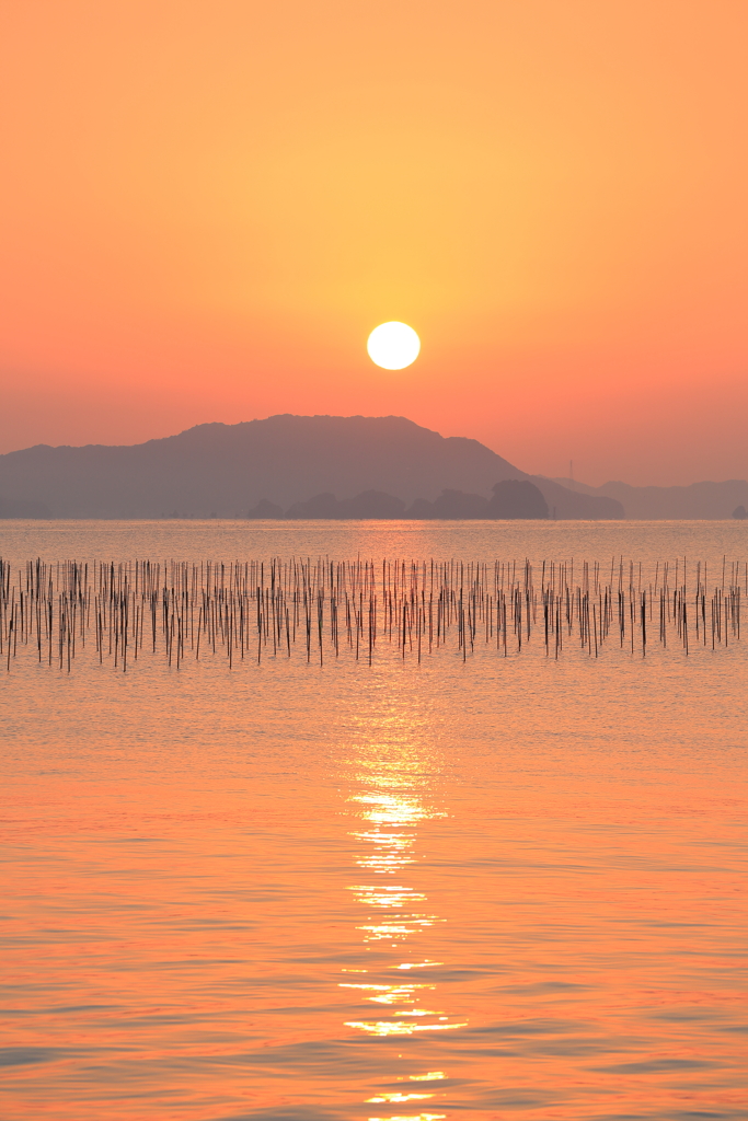海苔筏の朝焼け2