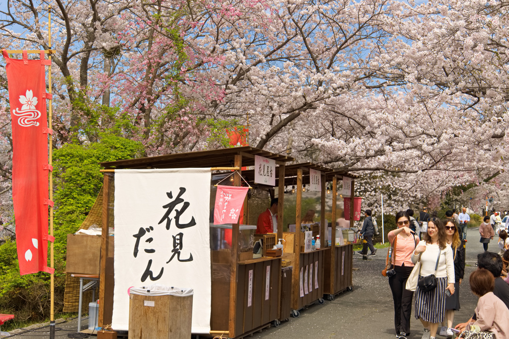 HANAMI DANGO