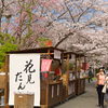 HANAMI DANGO
