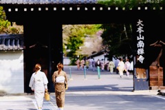 春の南禅寺へ