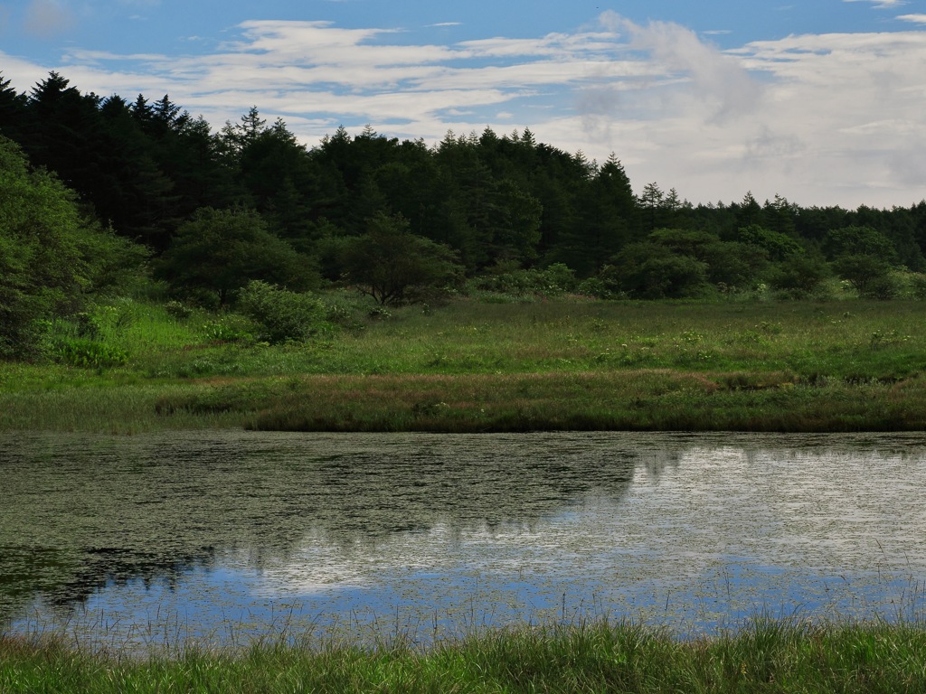 連作　八島湿原　湿原の朝＊11