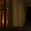 Entrance         　〜Orange Light〜