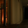 Entrance         　〜Orange Light〜