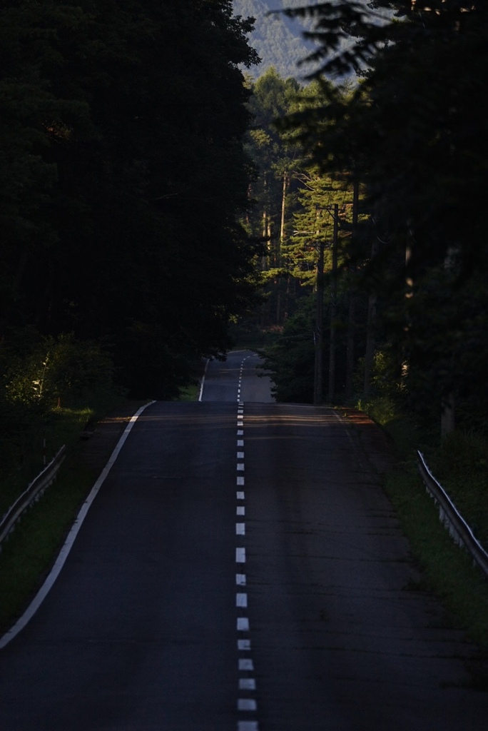 早朝の高原道路