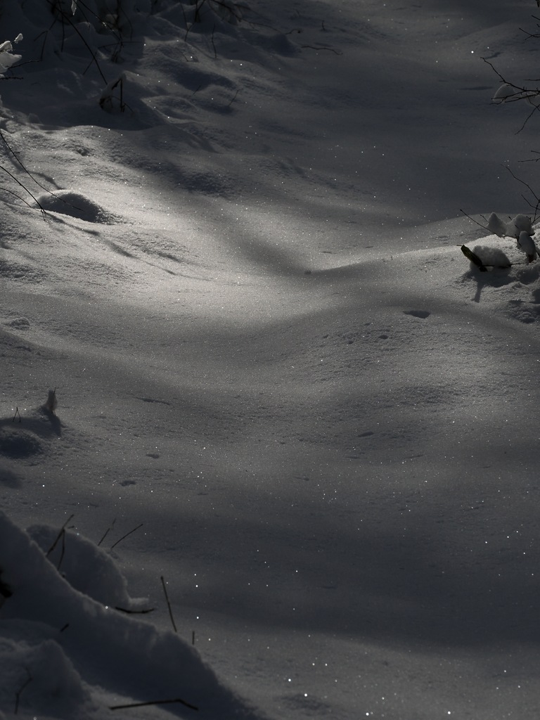 雪の林道　『信玄の棒道』