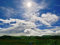 連作　八島湿原　湿原の朝＊16