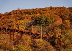 紅葉に包まれる旧立場川橋梁（JR中央本線）