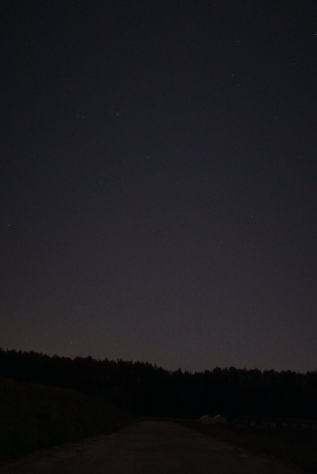 夜：森と星と散歩道