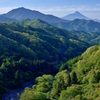 春を迎えた渓谷の朝
