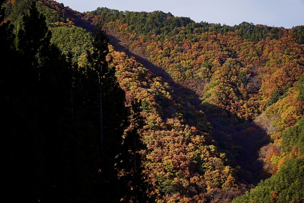 紅葉の渓谷　〜光と影〜