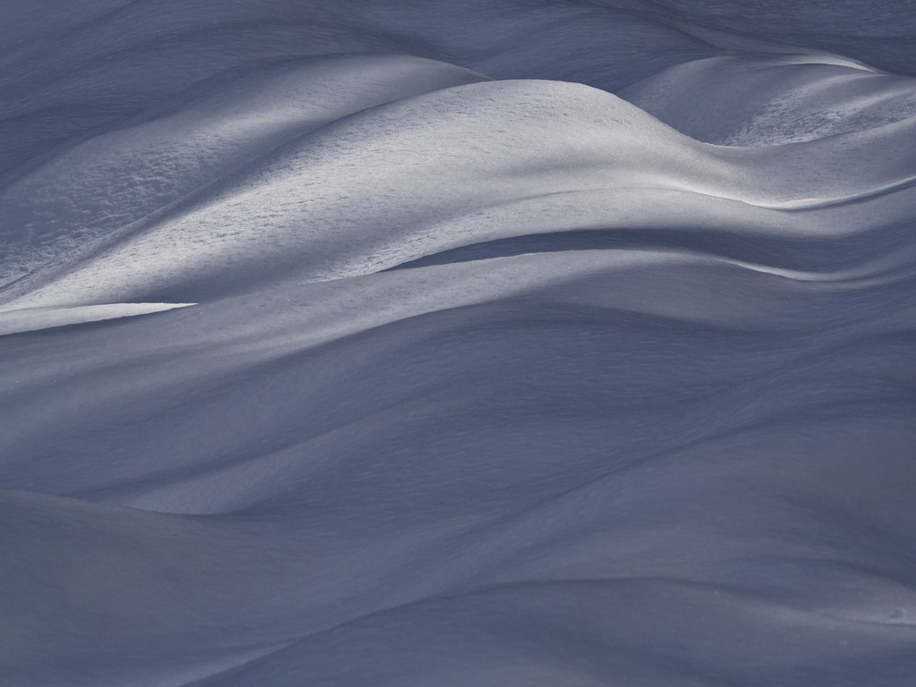 雪、光、そして森の影の造形