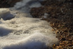 雪解け