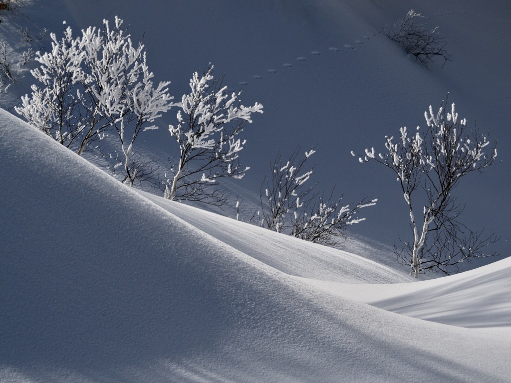 冬の自然に魅せられて＊８　　〜雪原の谷間でのダンス〜