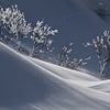 冬の自然に魅せられて＊８　　〜雪原の谷間でのダンス〜