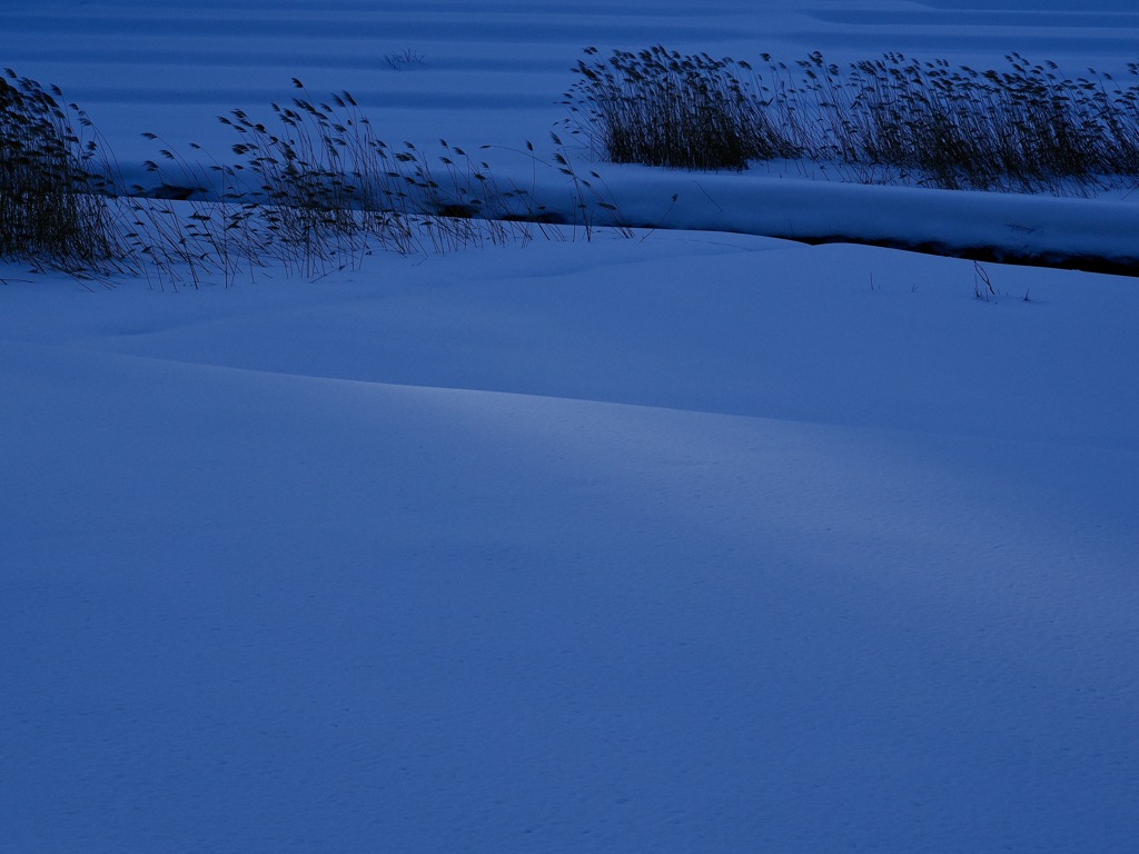 翳りゆく雪原＊５　　〜残照〜