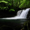 水、岩、そして緑