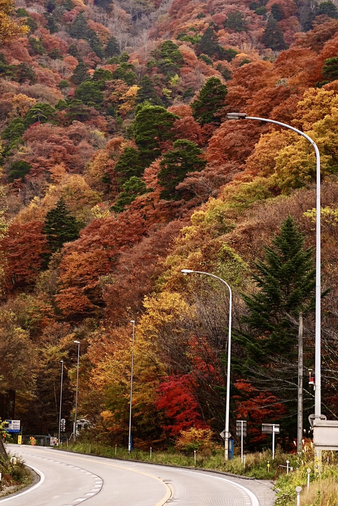 紅葉へ続く峠道　〜三才山峠〜