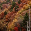 紅葉へ続く峠道　〜三才山峠〜