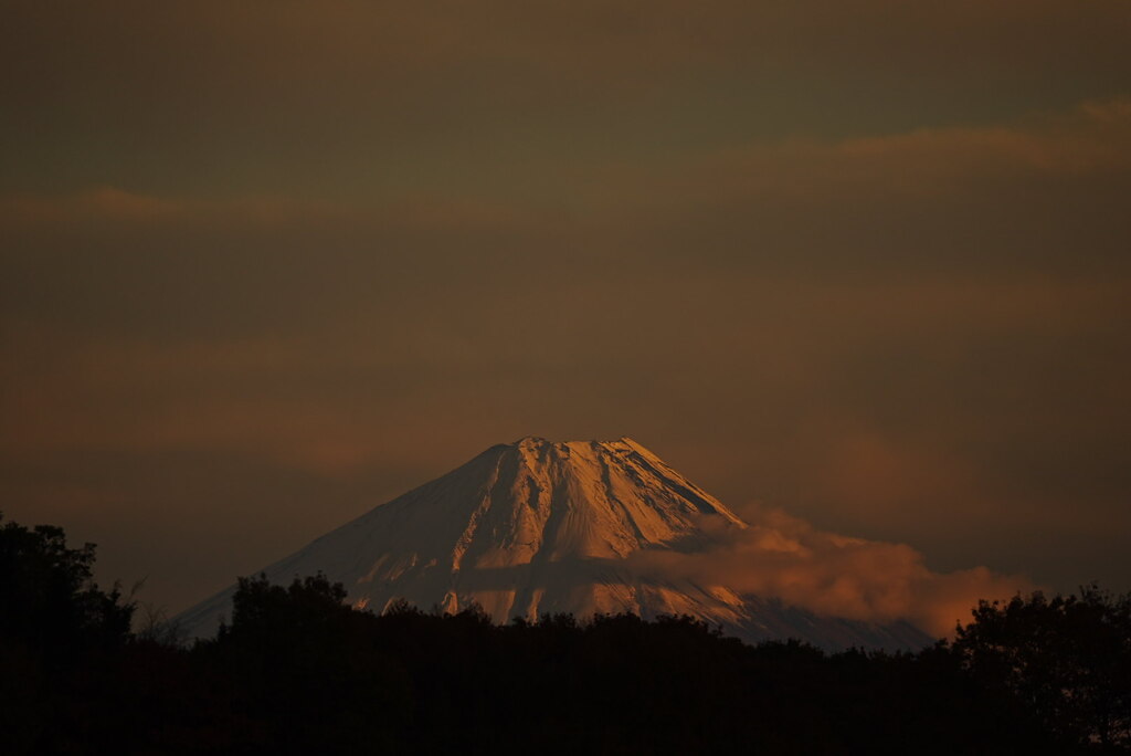 夕陽を浴びる富士