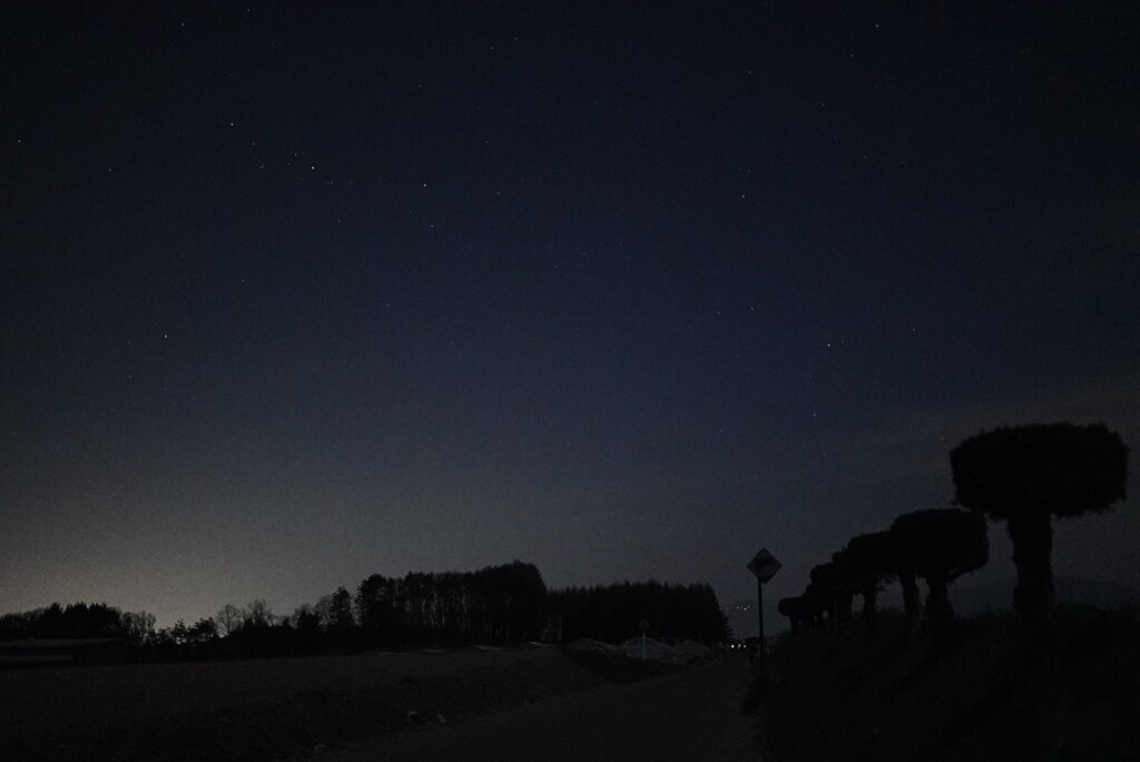 高原の夜：散歩道
