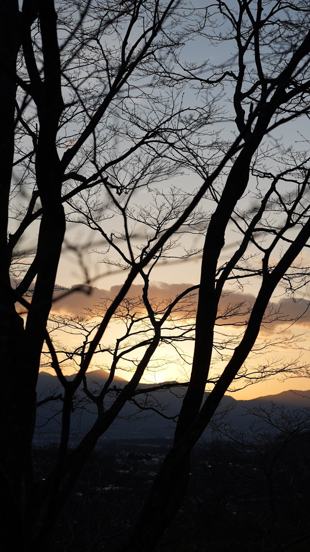 中央アルプスの夕暮れ(高遠城址公園)