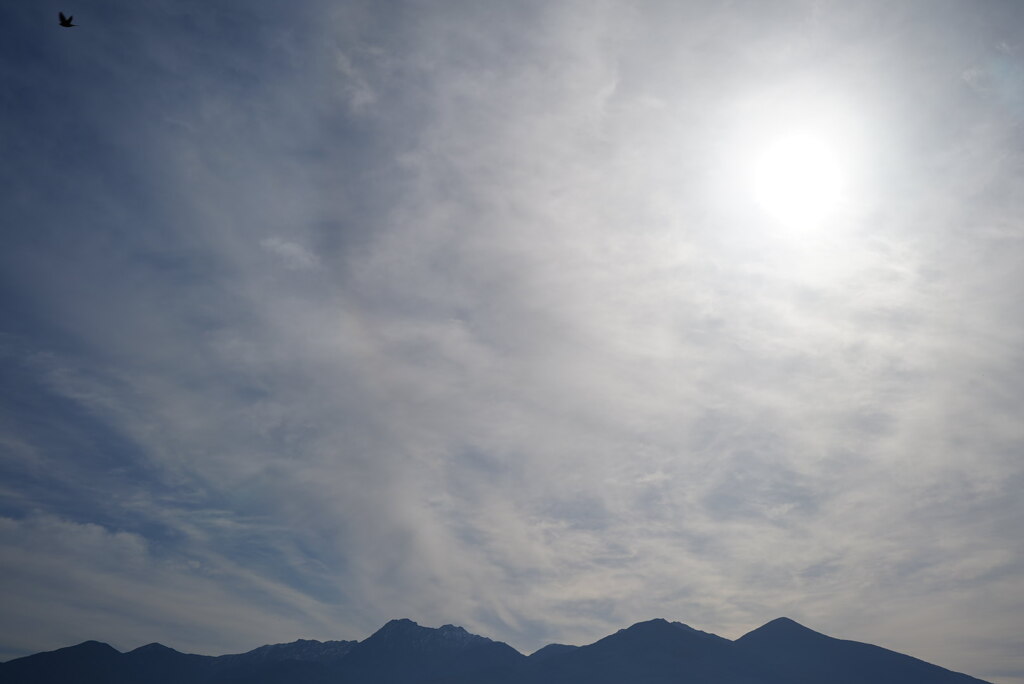 八ヶ岳の朝とトンビ