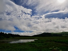 連作　八島湿原　湿原の朝＊８