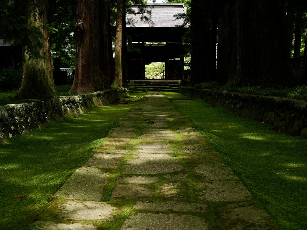 苔むす参道