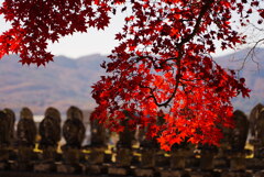 紅葉と石仏百体観音様