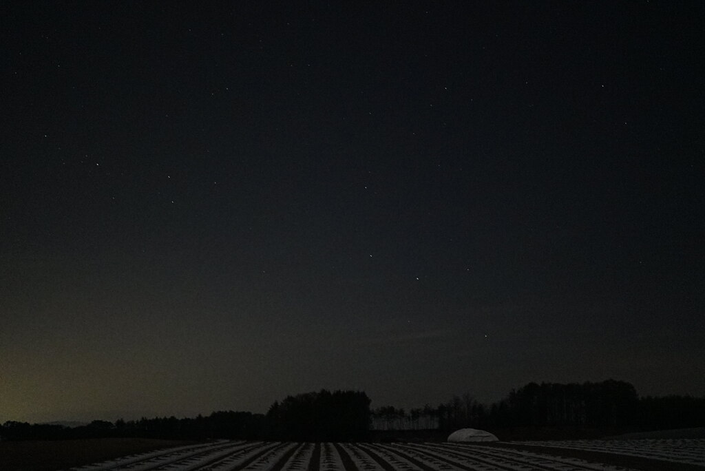 八ヶ岳高原の夜：月光の下のセロリ畑