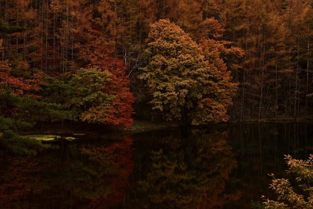奥蓼科の秋（2021）；　静寂　（御射鹿池の一風景）