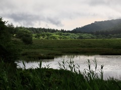 連作　八島湿原　湿原の朝＊５