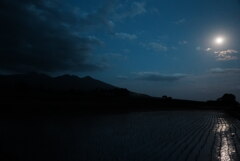 月夜の水田と八ヶ岳