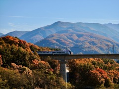 紅葉の河を渡る