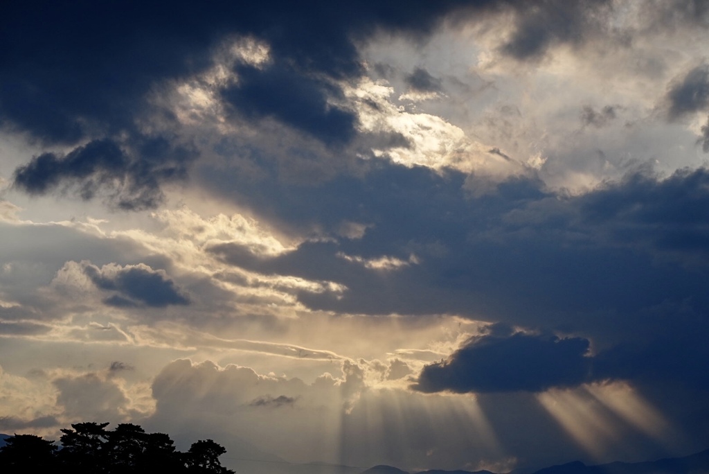 ある梅雨の夕暮れのドラマ