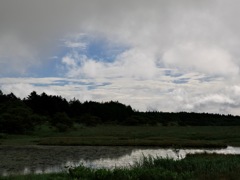 連作　八島湿原　湿原の朝＊６