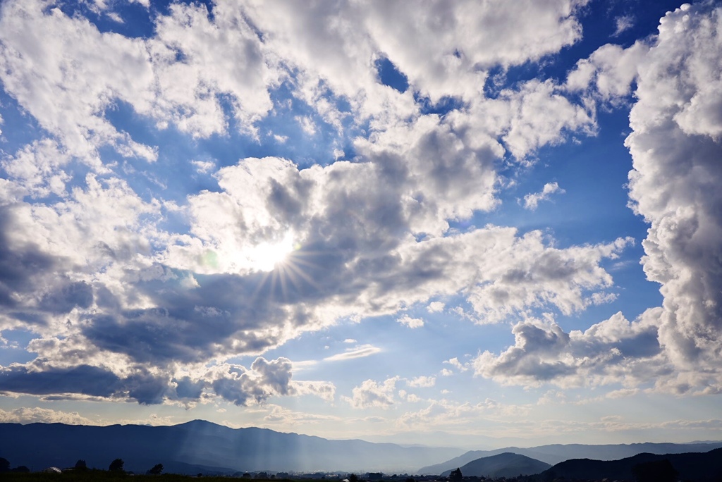 去らないでほしい夏