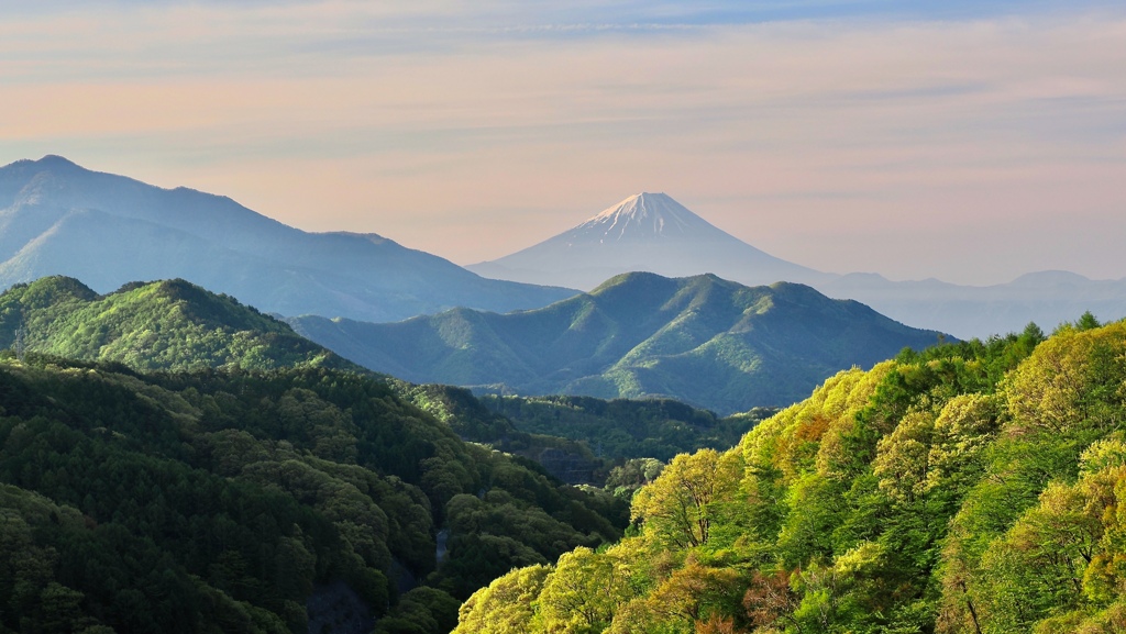 新緑の渓谷